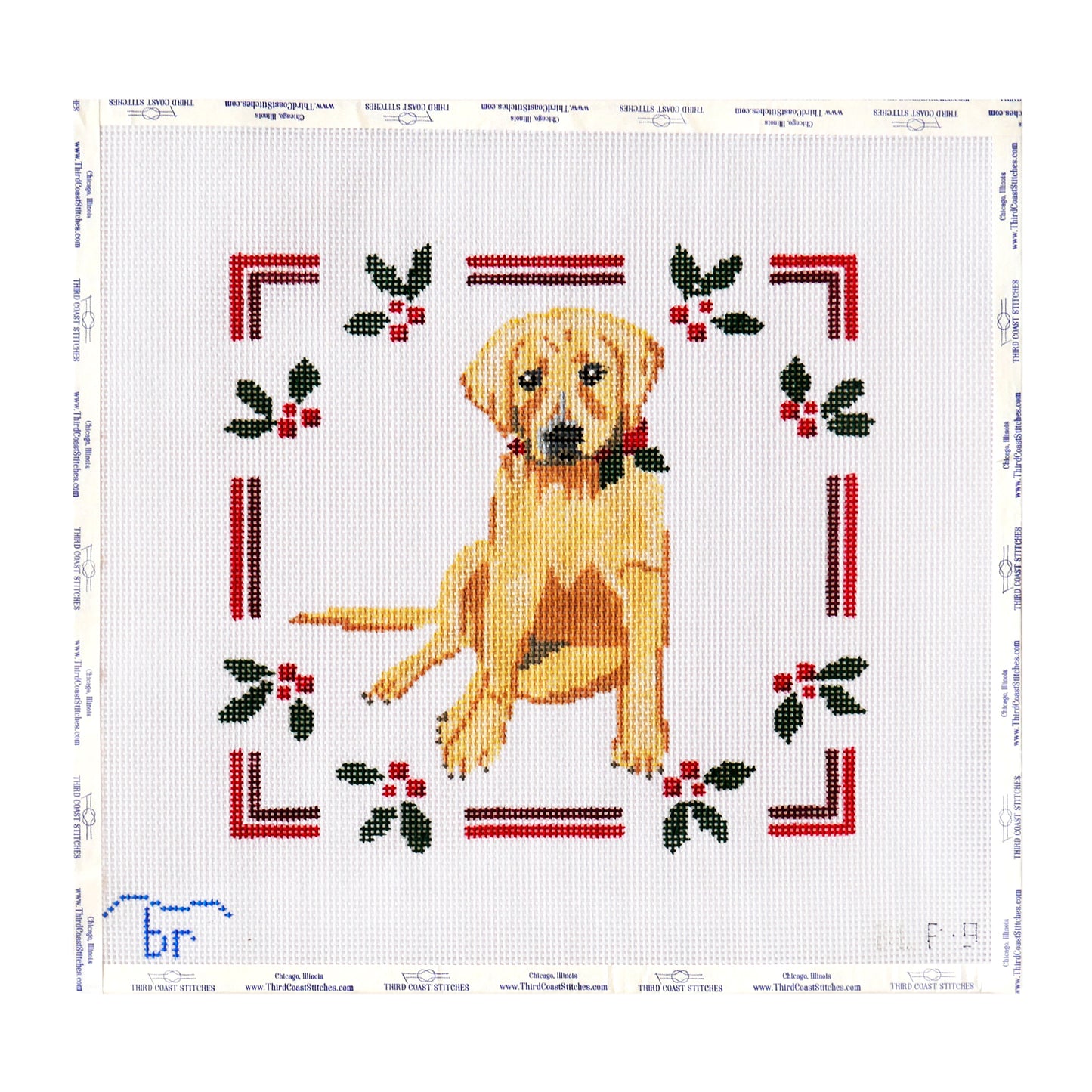 Yellow Lab with Holly