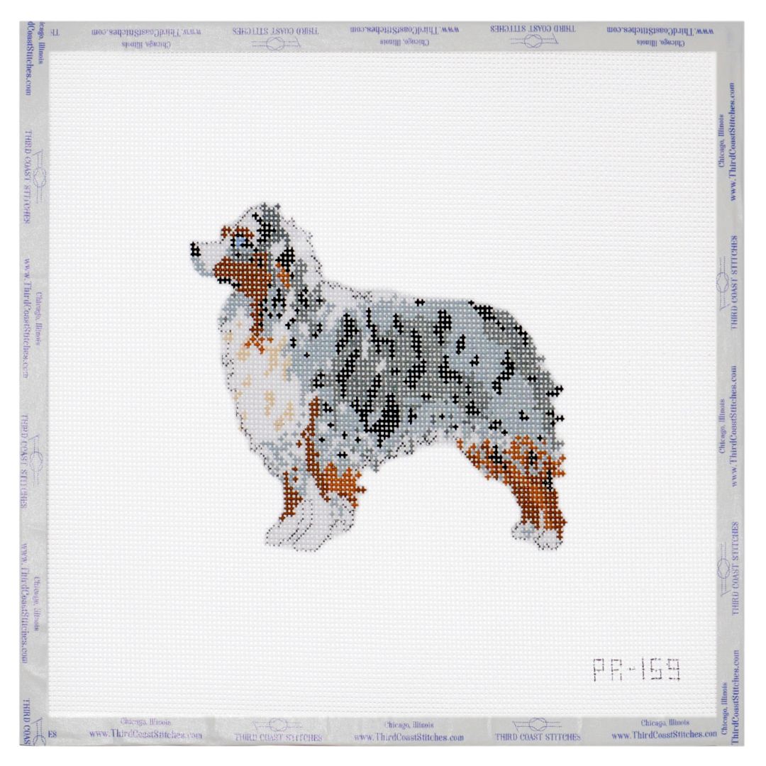 Australian Shepard