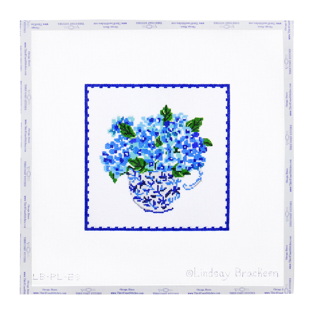 Hydrangea with Blue Border