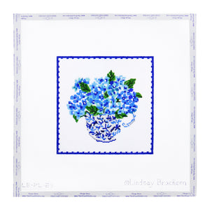 Hydrangea with Blue Border