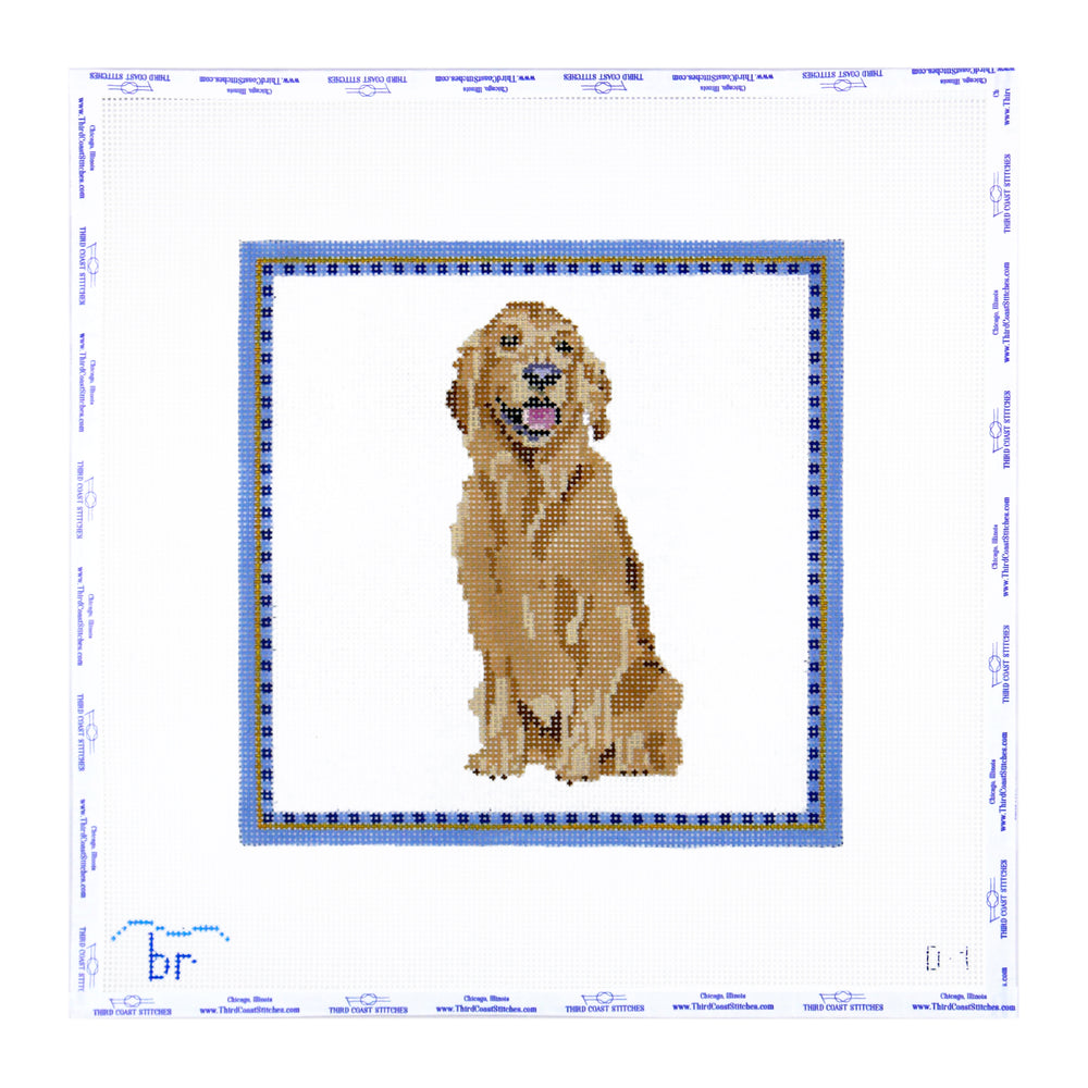 Golden Retriever with Blue Border