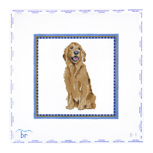 Golden Retriever with Blue Border