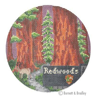 Explore America - Redwoods