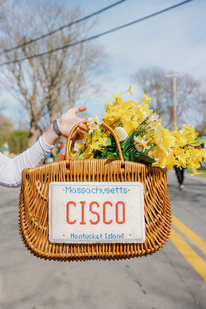 Cisco Plate