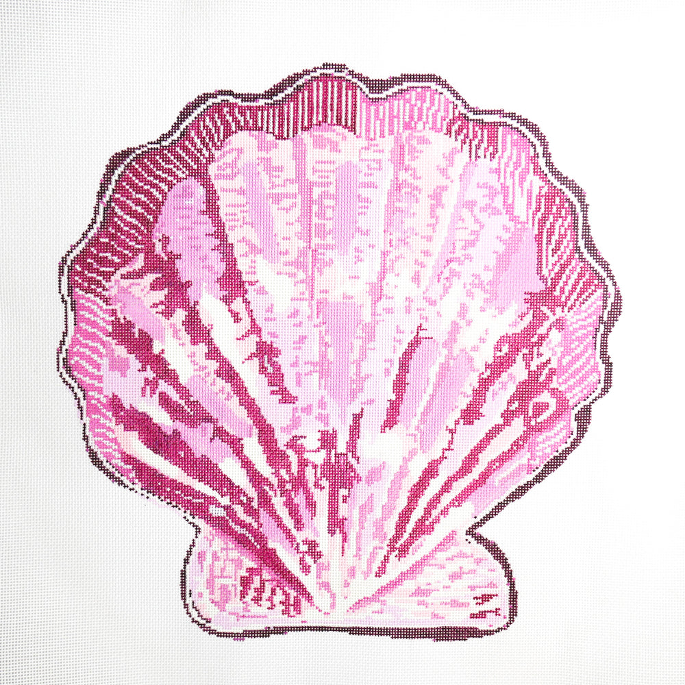 Pink Scallop