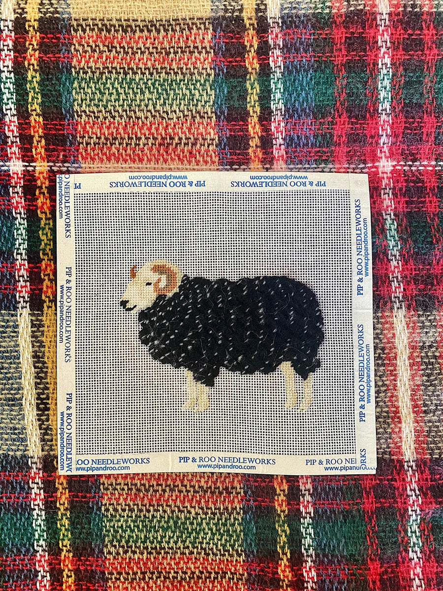 Herdwick Ram