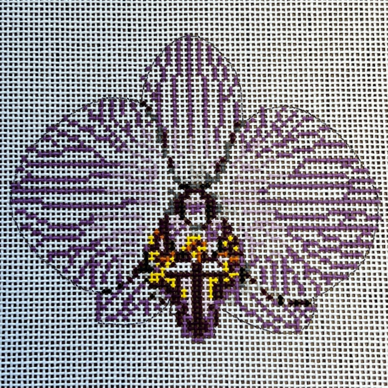 Single Purple Striped Orchid