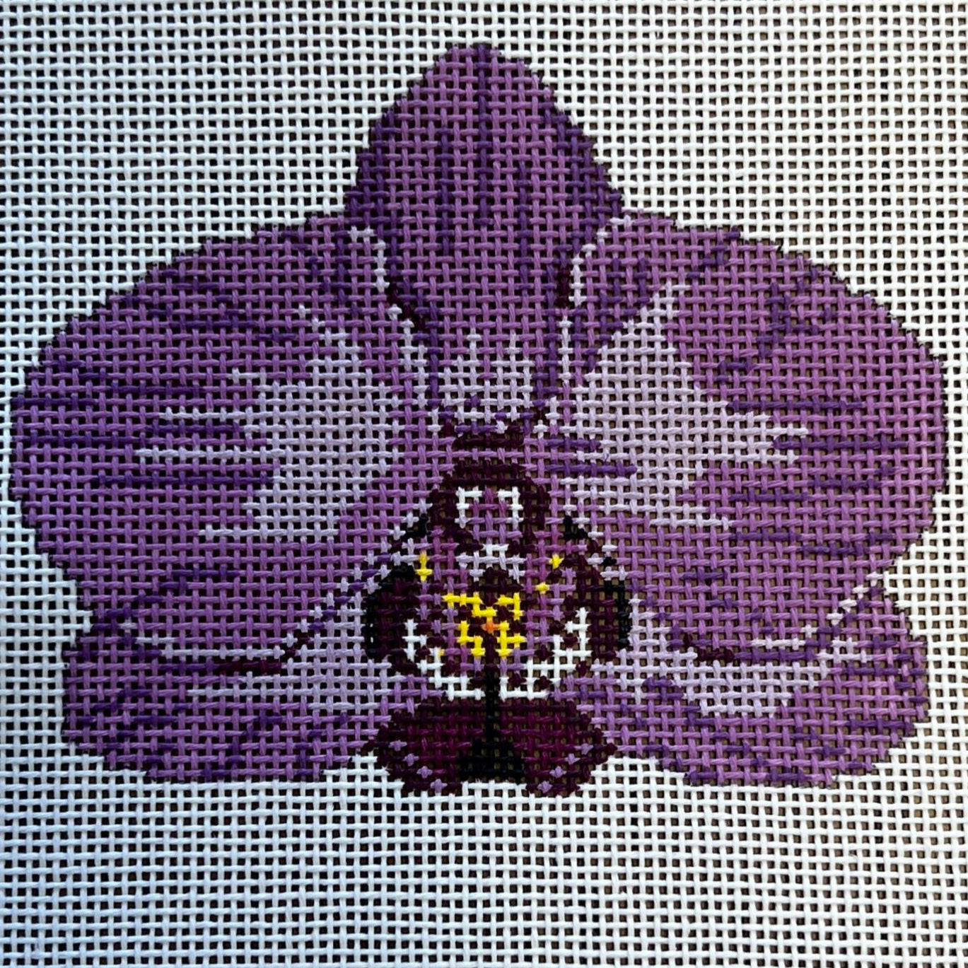 Single Purple Orchid