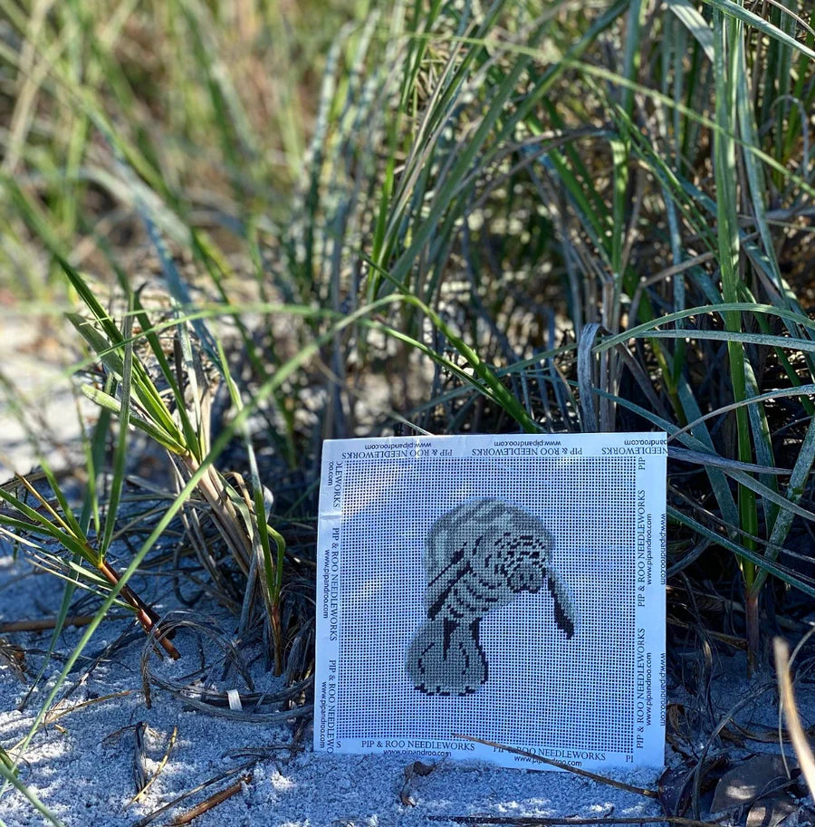 Manatee