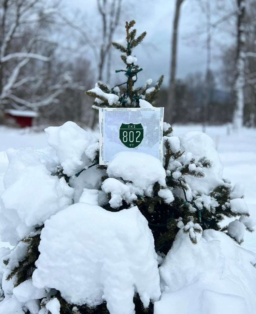 SKI 802