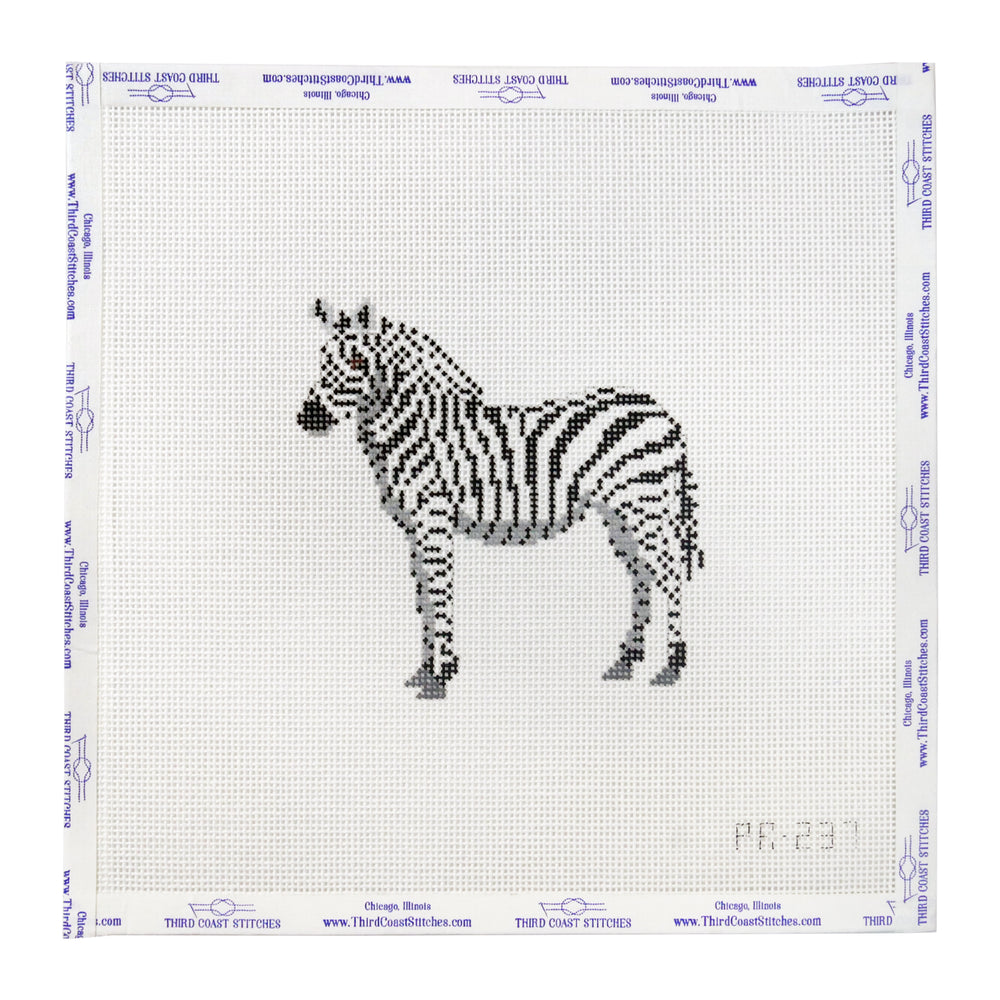 African Zebra