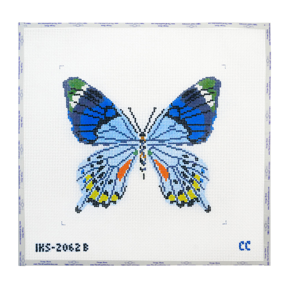 Blue Gray Butterfly