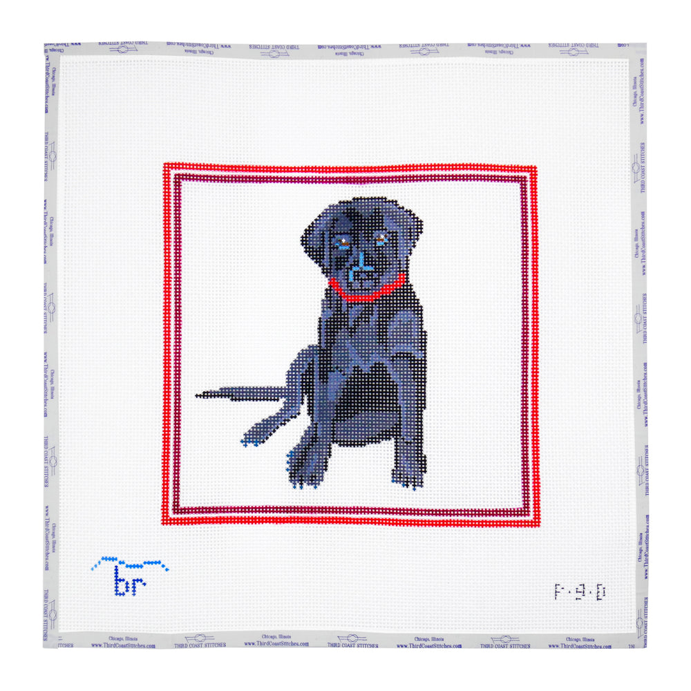 Black Lab with Red Border