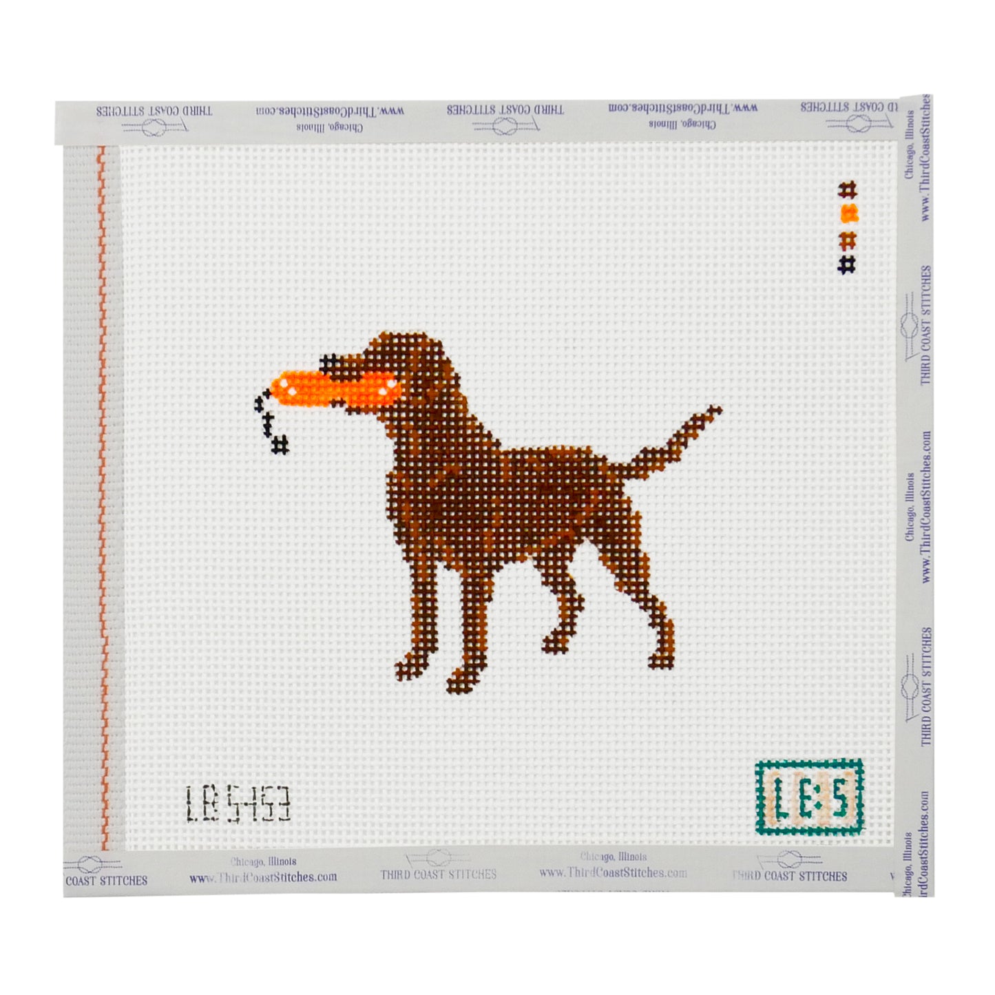 Chocolate Lab with Neon Bumper