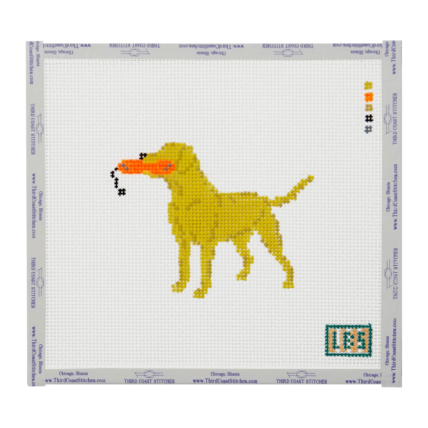 Yellow Lab with Neon Bumper