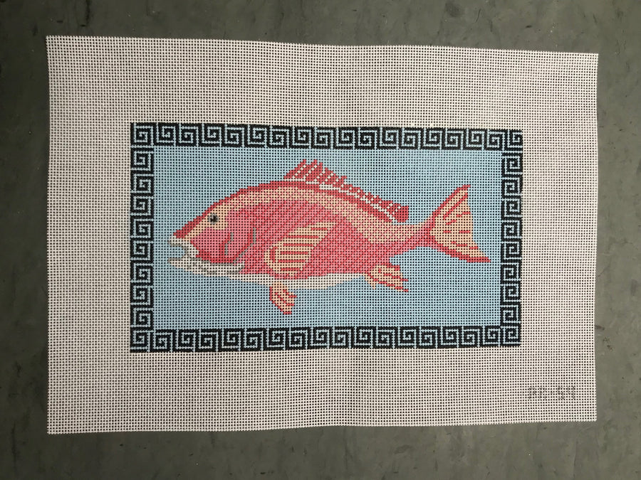 Red Snapper