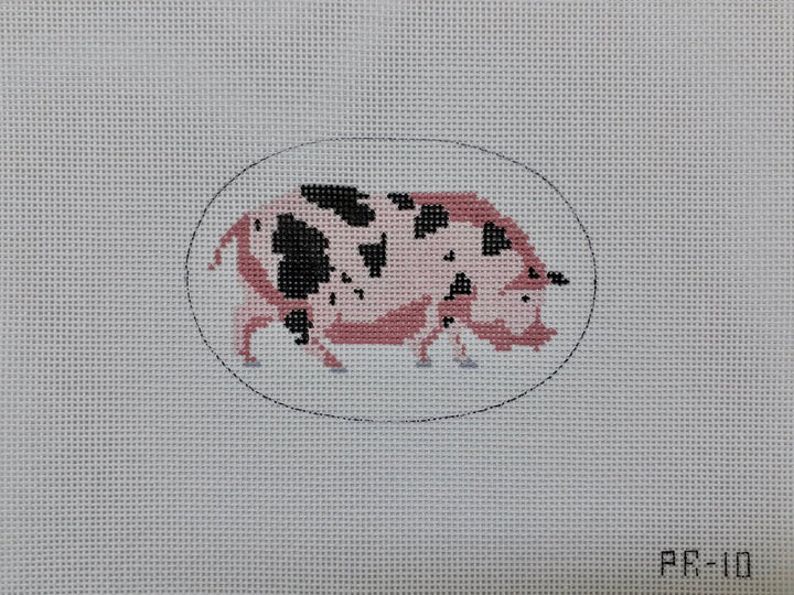 "Sammy" Spotted Pig