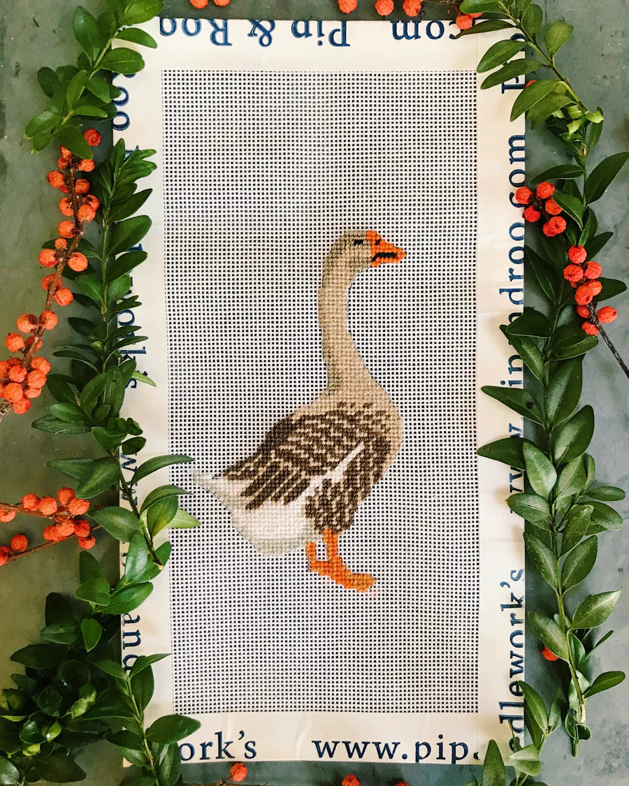 Toulouse Goose