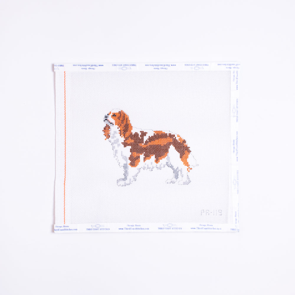 King Charles Spaniel